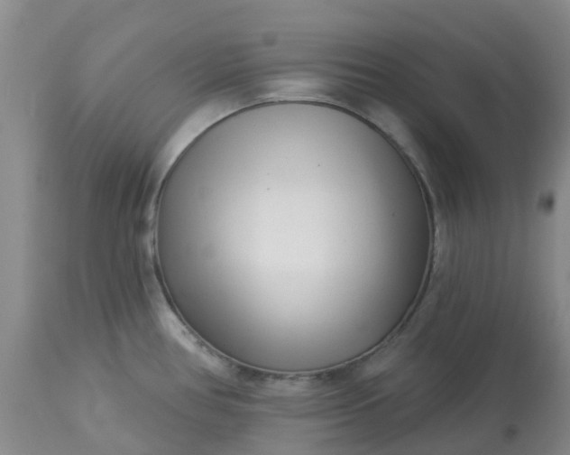 X0000113121386200909111128