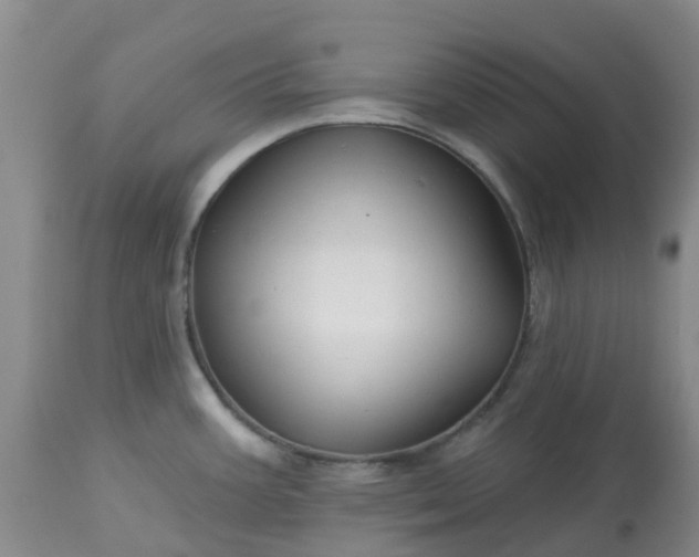 X0000113121387200909111128