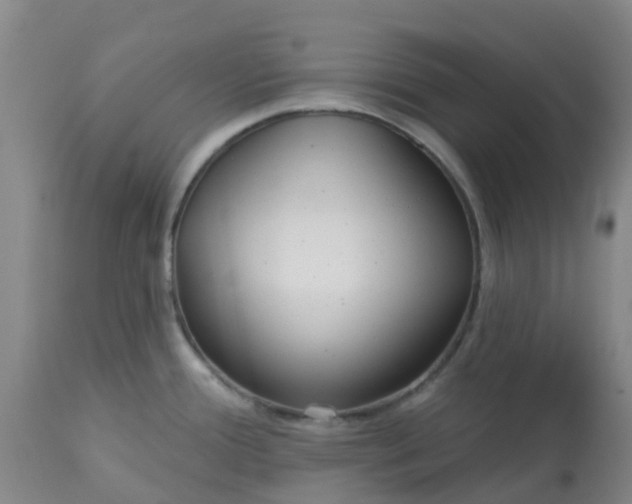 X0000113121388200909111128