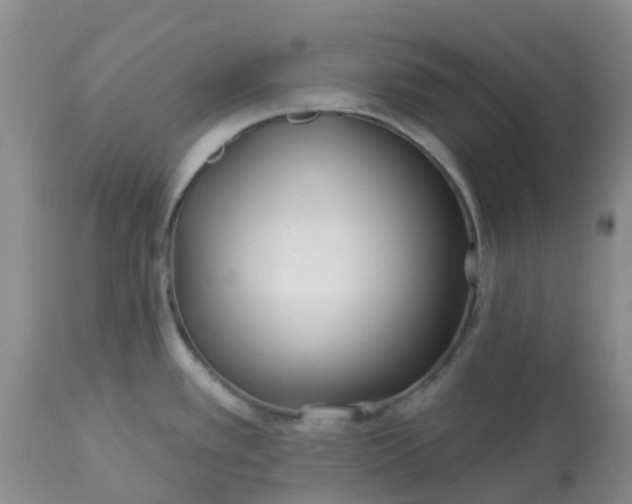 X0000113121389200909111128