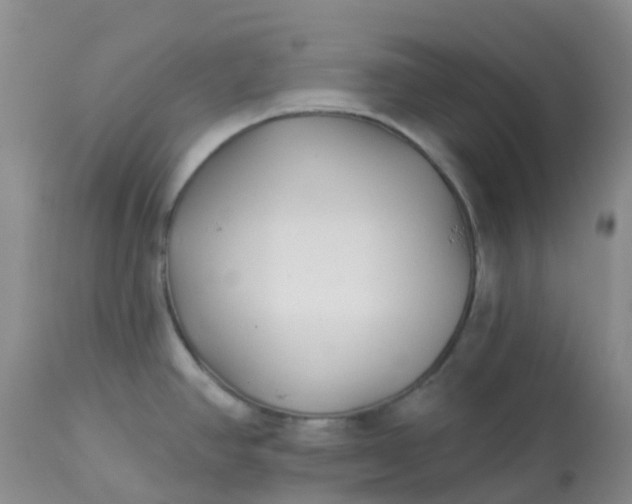 X0000113121390200909111128