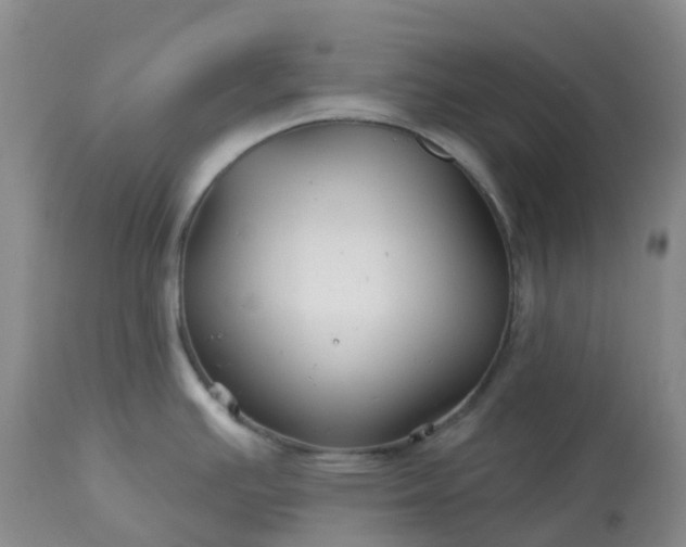 X0000113121391200909111128