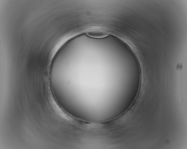 X0000113121392200909111128