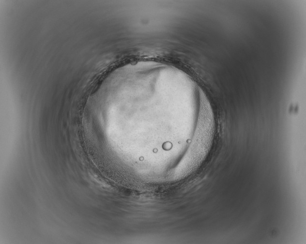 X0000113121393200909111127