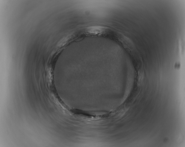 X0000113121394200909111127