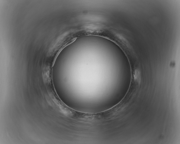 X0000113121396200909111128