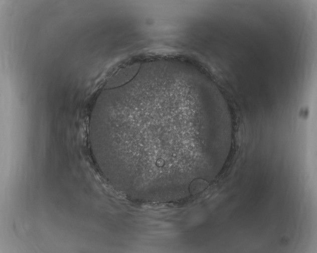 X0000113121397200909111128