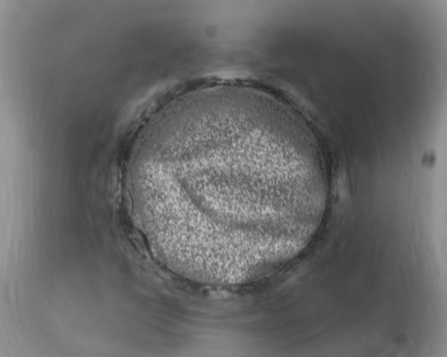 X0000113121398200909111128