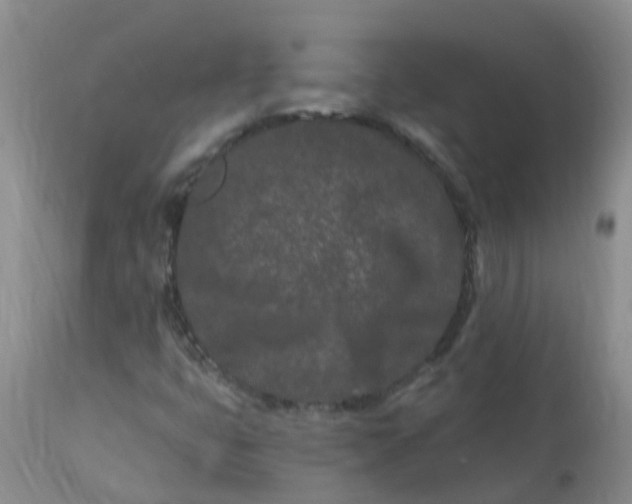 X0000113121399200909111128