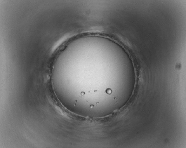 X0000113121400200909111128