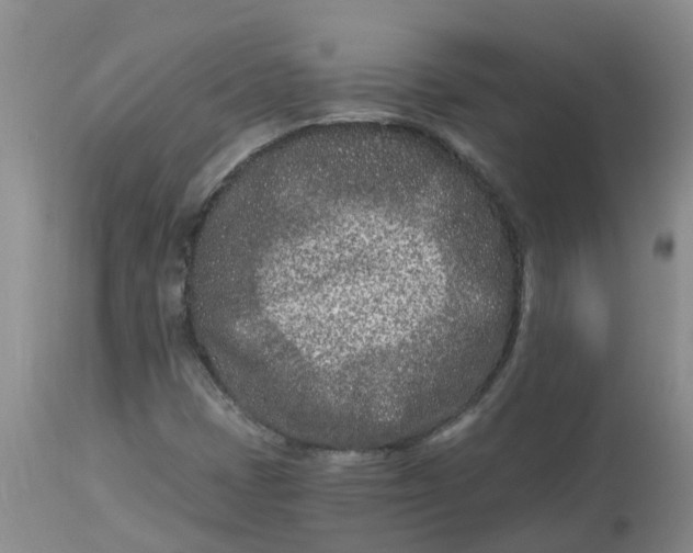 X0000113121401200909111128