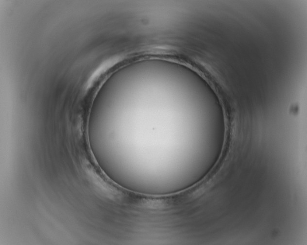 X0000113121402200909111128