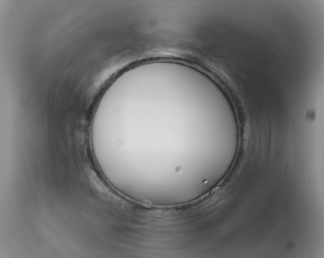 X0000113121404200909111128