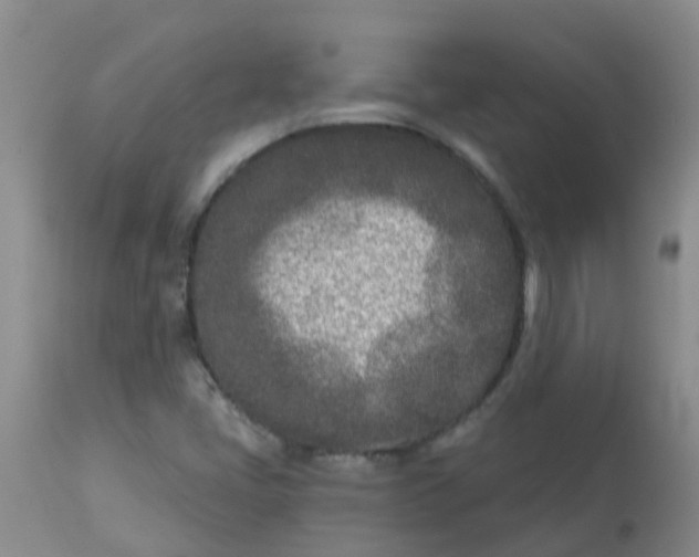 X0000113121405200909111128