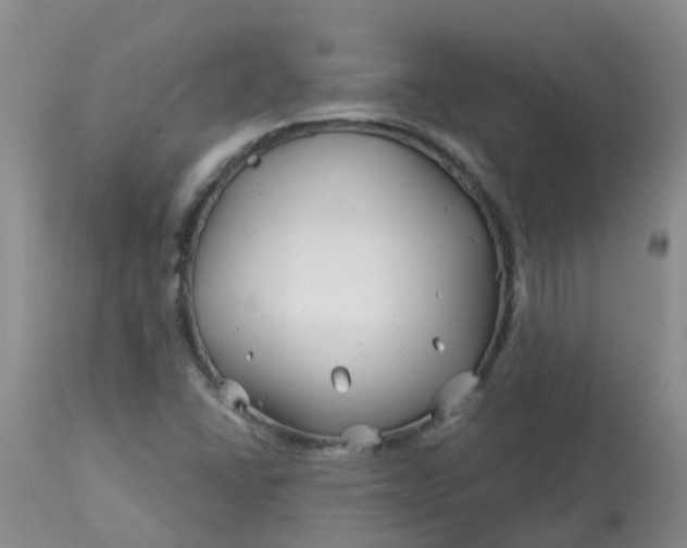 X0000113121406200909111128