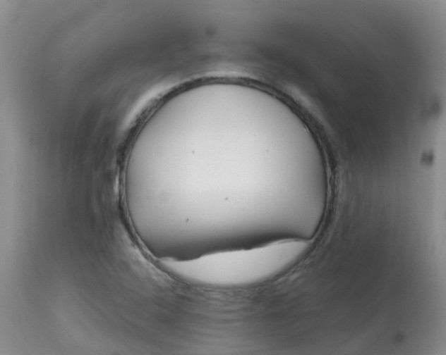 X0000113121408200909111128