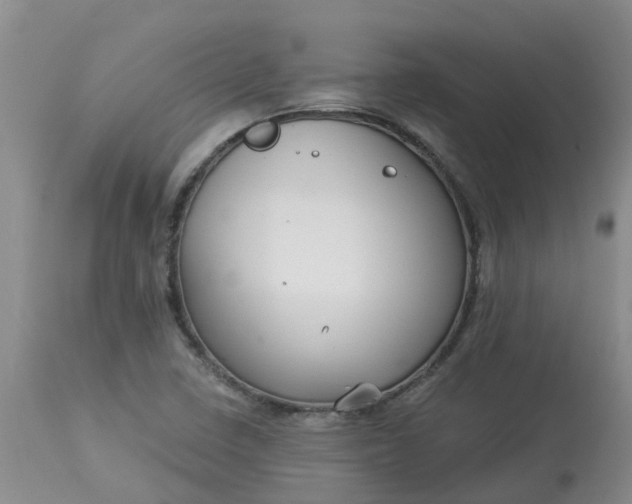 X0000113121410200909111128