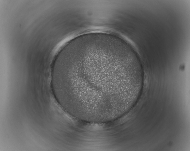 X0000113121411200909111128