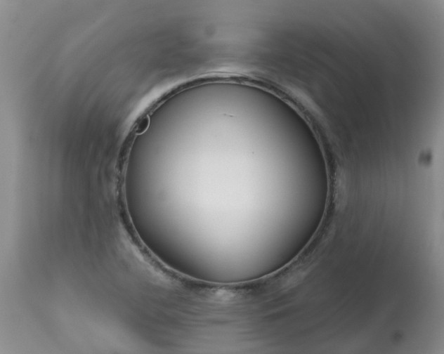 X0000113121412200909111128