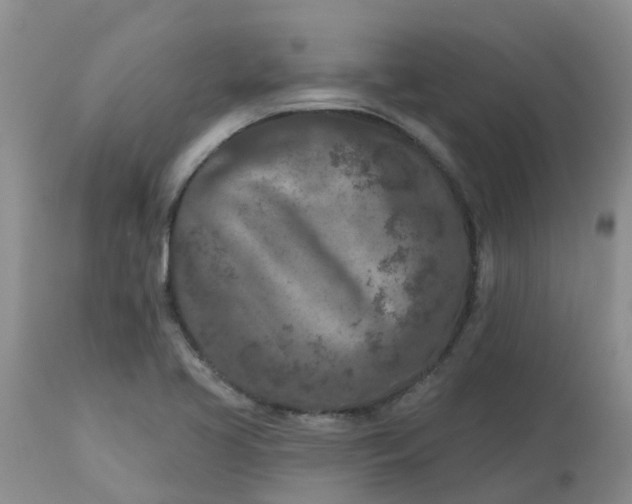 X0000113121413200909111128