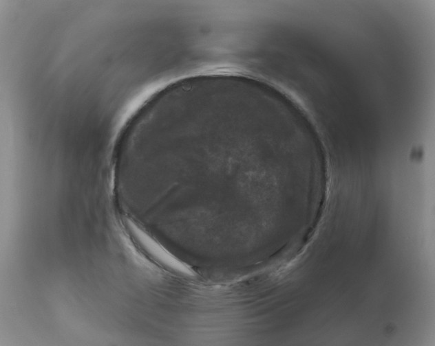 X0000113121414200909111128