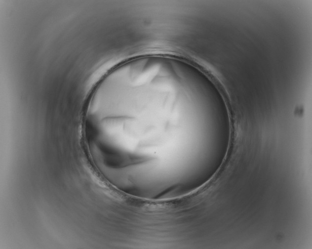 X0000113121415200909111128