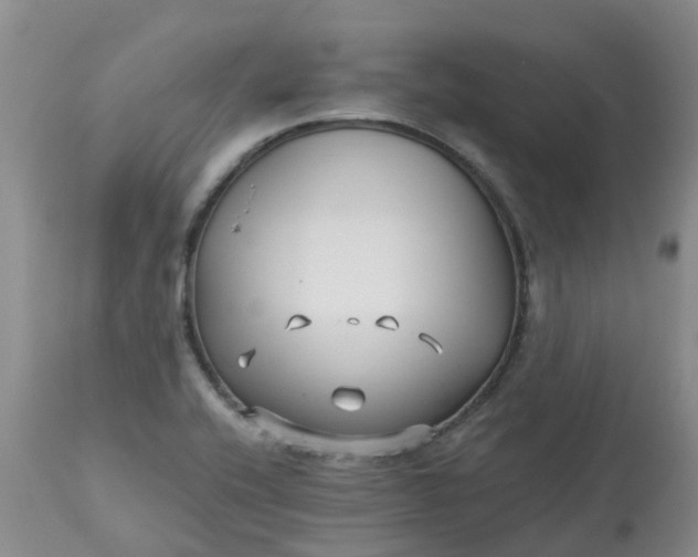 X0000113121416200909111128