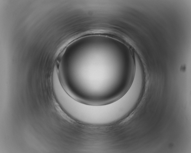 X0000113121417200909111128