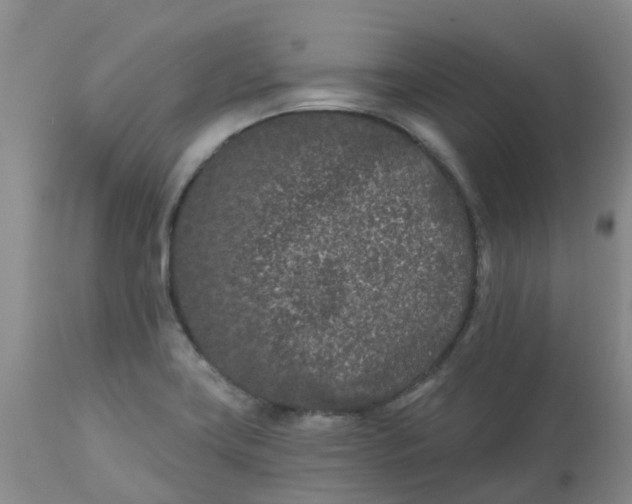 X0000113121419200909111128