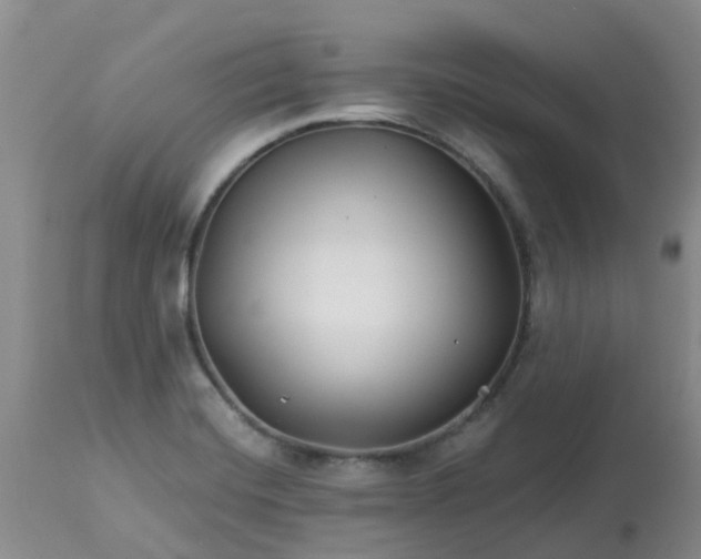 X0000113121420200909111128