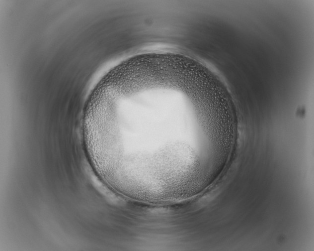 X0000113121421200909111128