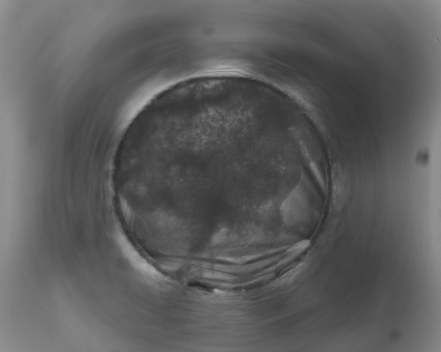 X0000113121422200909111128