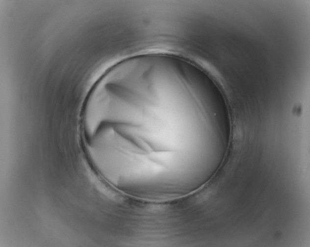 X0000113121423200909111128