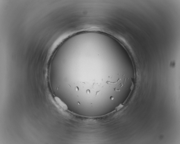 X0000113121424200909111128