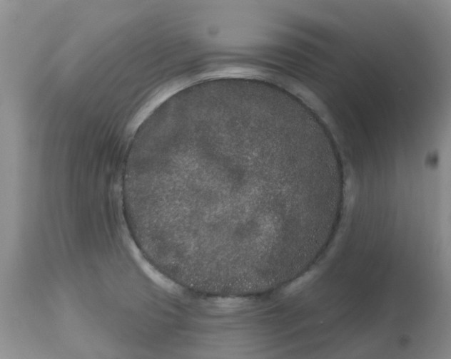 X0000113121425200909111128