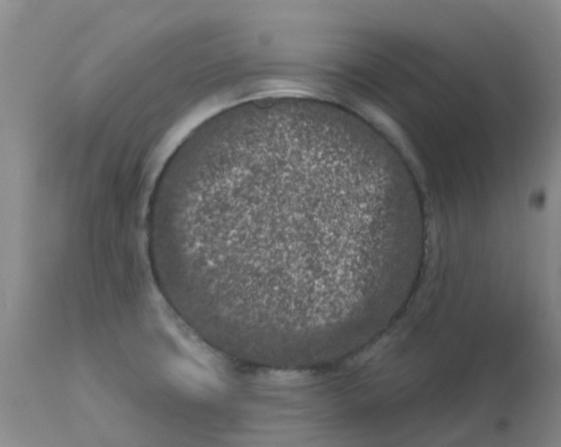 X0000113121427200909111128