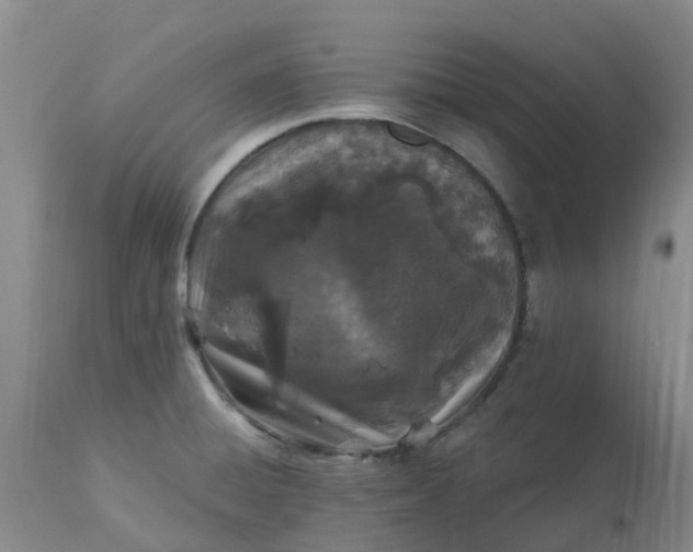 X0000113121428200909111128