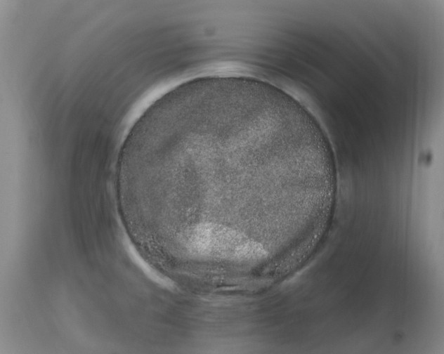 X0000113121429200909111128