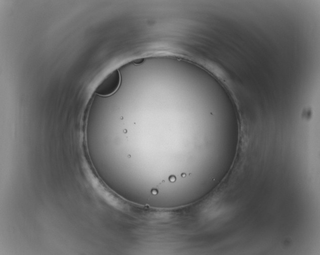 X0000113121431200909111128