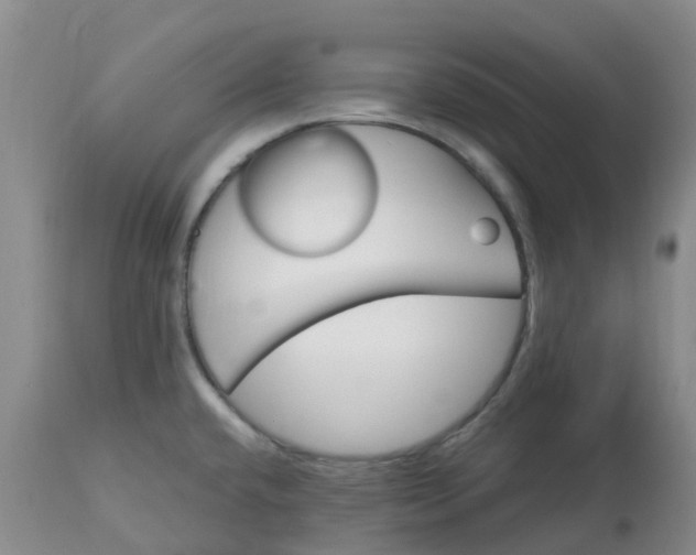 X0000113121432200909111128