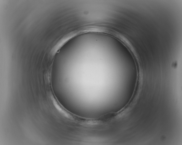 X0000113121433200909111128