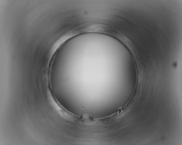 X0000113121434200909111128