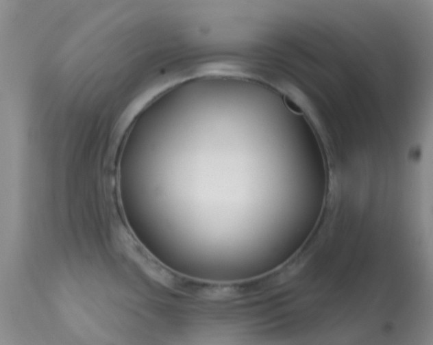 X0000113121435200909111128