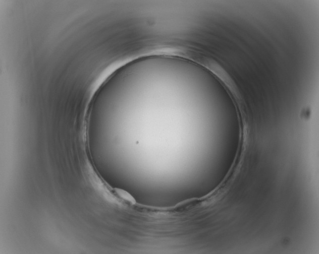 X0000113121436200909111128