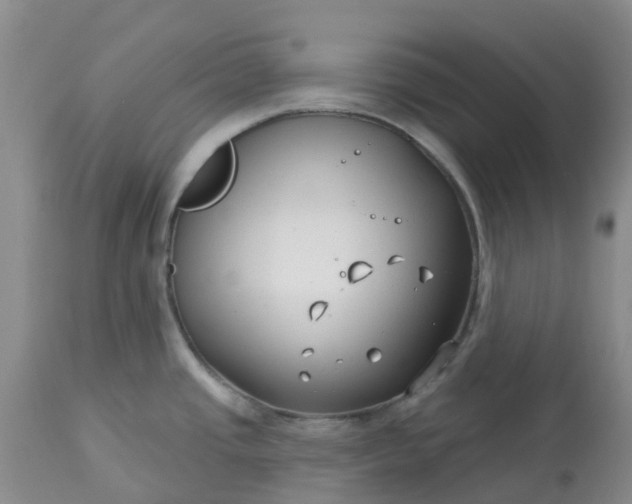 X0000113121437200909111128