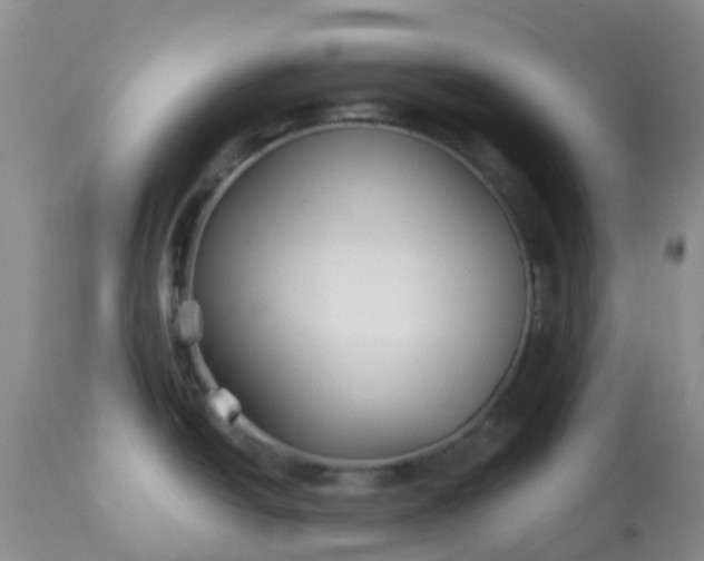 X0000113121438200909111128