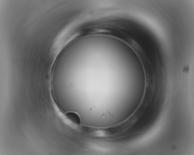 X0000113121439200909111128