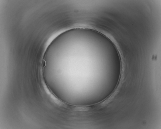 X0000113121440200909111128