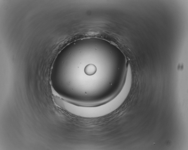 X0000113121441200909111127