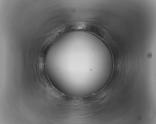 X0000113121442200909111127